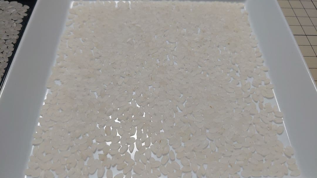 令和6年度 埼玉県産⭐にこまる⭐白米29キロ 送料無料