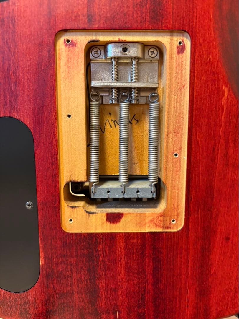 翔*様 WASHBURN N24-NUNO (テンションコントローラー付き)