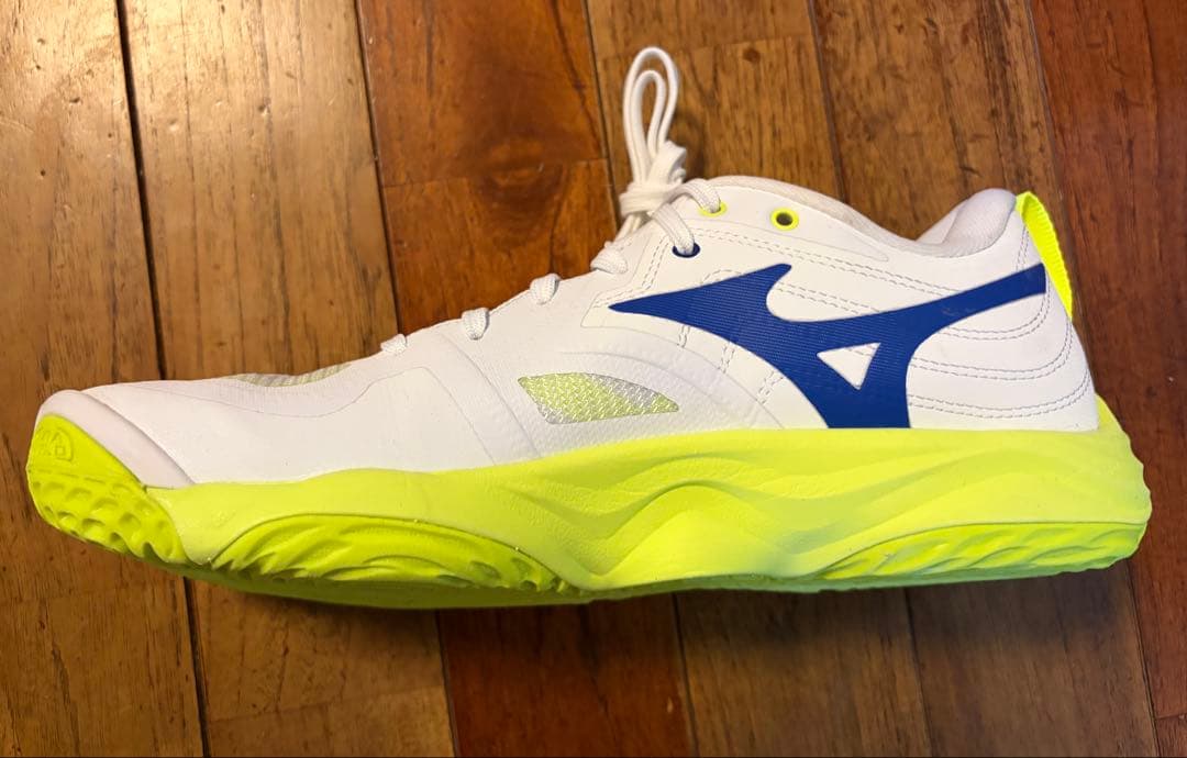 バレーボールシューズ Mizuno WAVE MOMENTUM ELITE