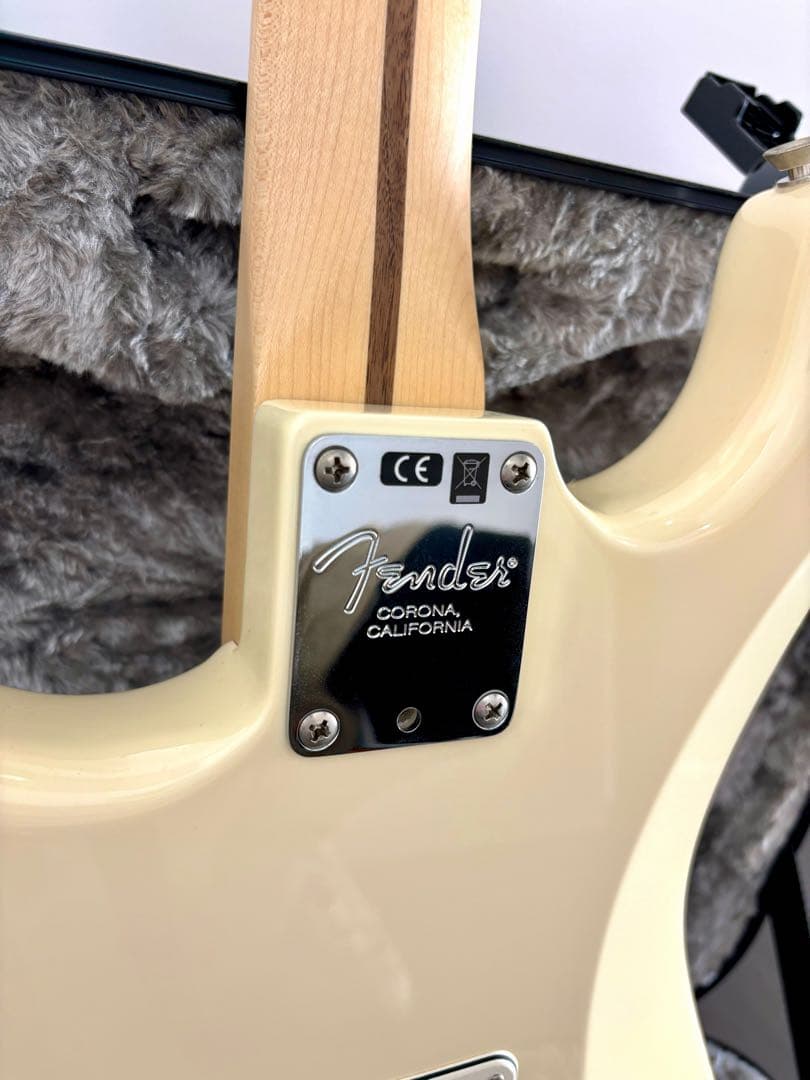 Fender Stratocaster USAハードケース付き