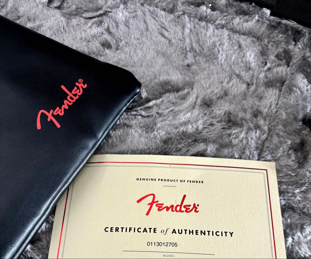 Fender Stratocaster USAハードケース付き