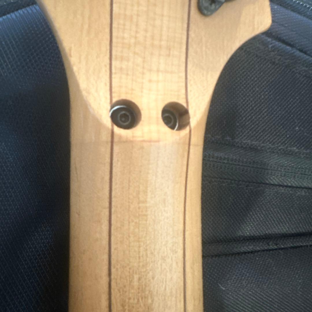 Ibanez j.custom ギター　検索　j custom カスタム