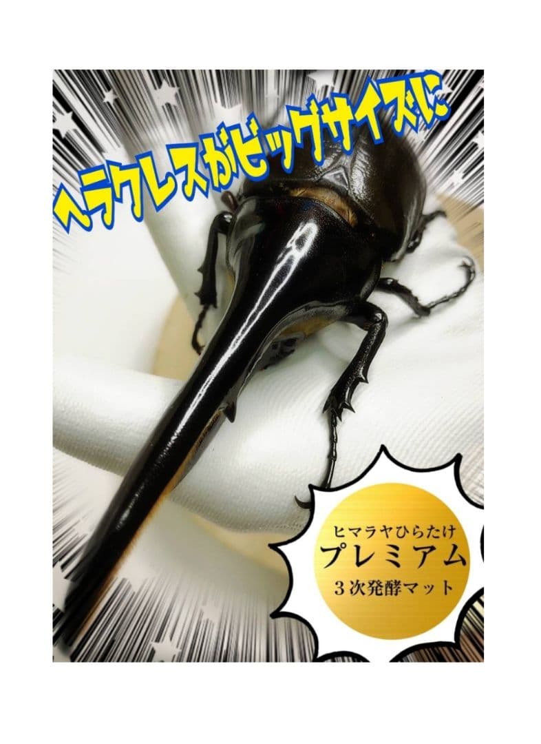 極上！プレミアム3次発酵カブトムシマット【6袋】特殊アミノ酸強化！ギネス級連発！