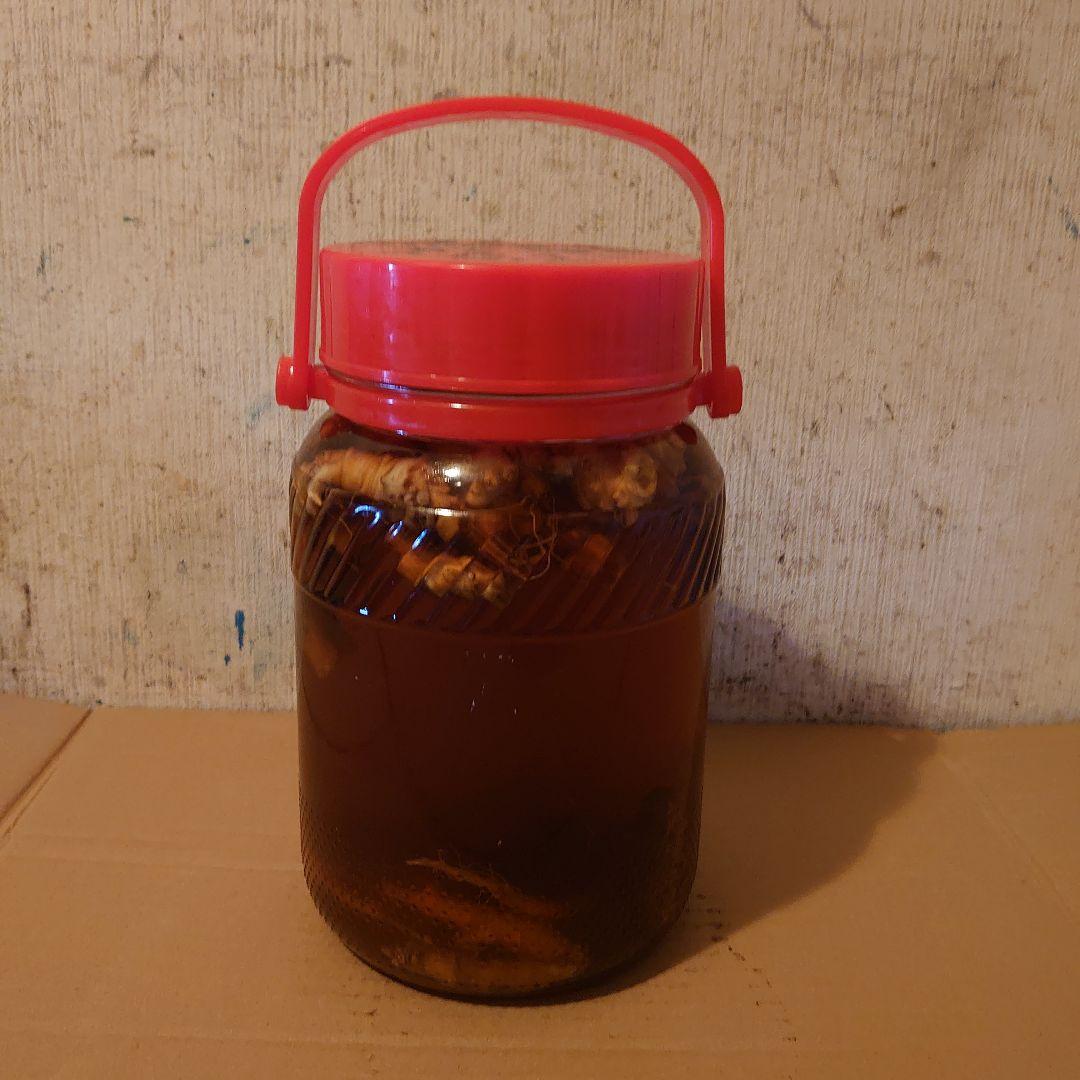 大阪府金剛山系二上山で採取りした天然物ツルニンジン酒3Ｌ入り ツルニンジン酒