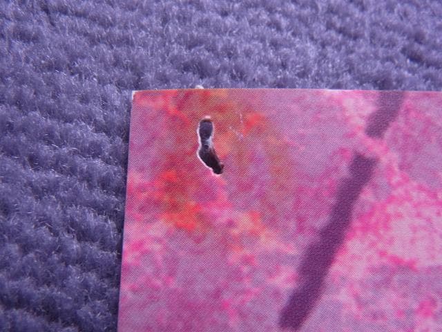 非売品　ポスター　マジック・ザ・ギャザリング　ウルザズ・サーガ　MTG　当時物