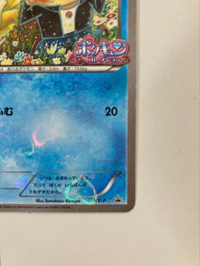 ポケモンカード コダック ポケキュンコレクション XY-P 増田順一コラボプロモ