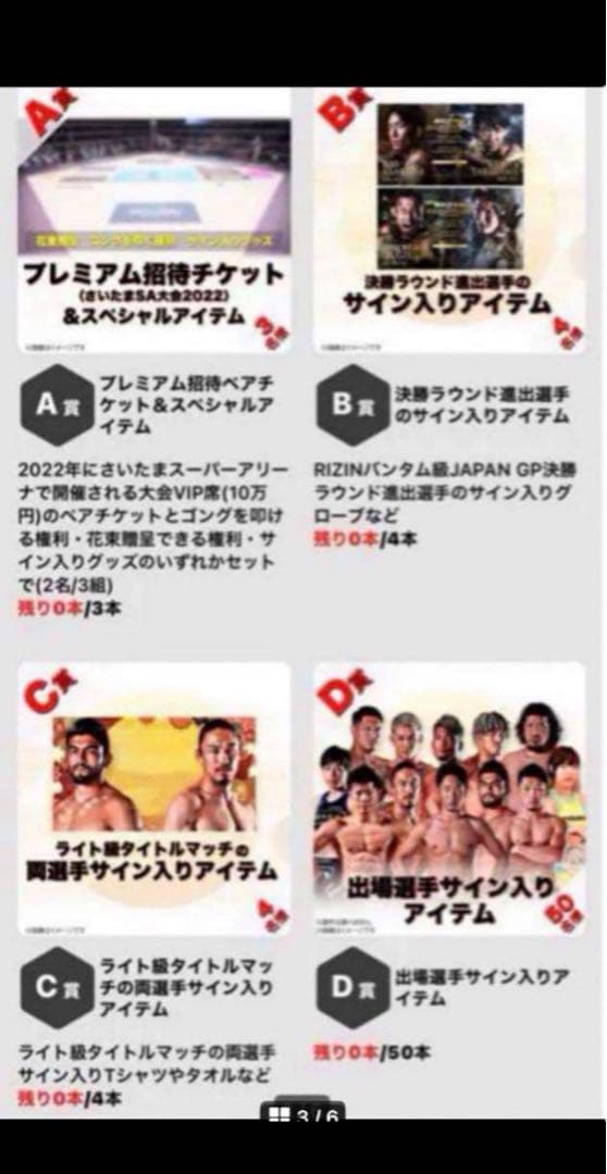 【週末処分価格】RIZIN サトシ　直筆サイン入り　パンフレット　クリアファイル