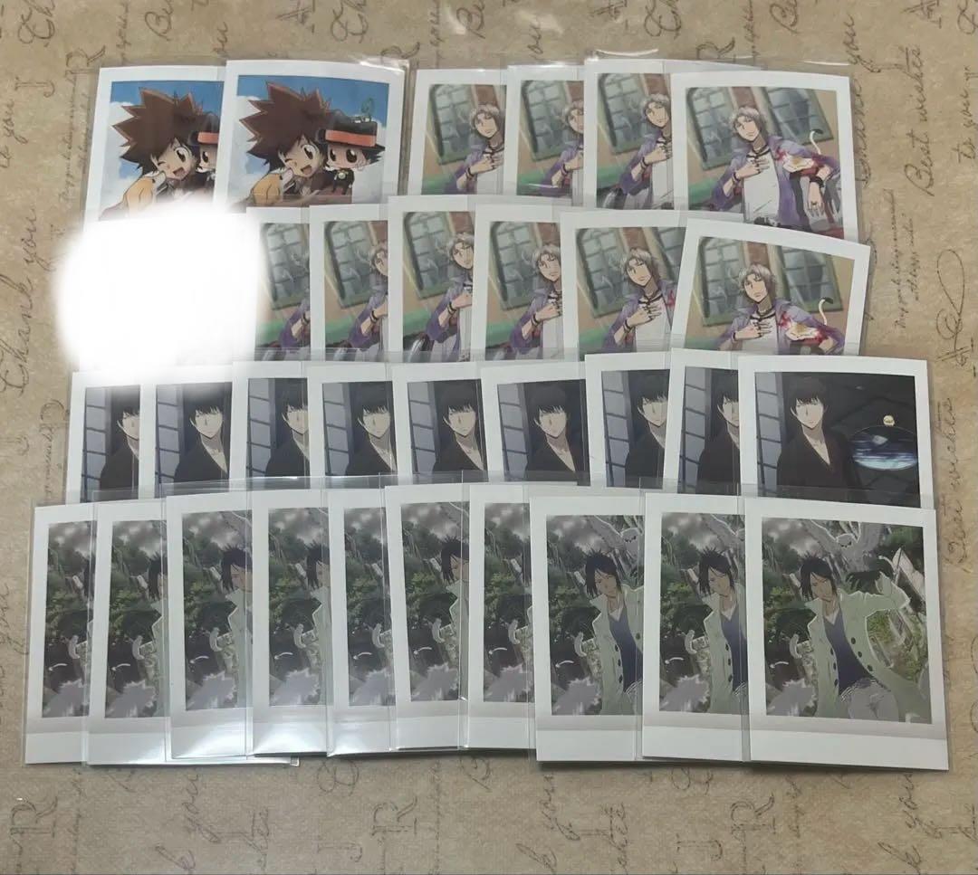 REBORN ぱしゃこれ 第2弾