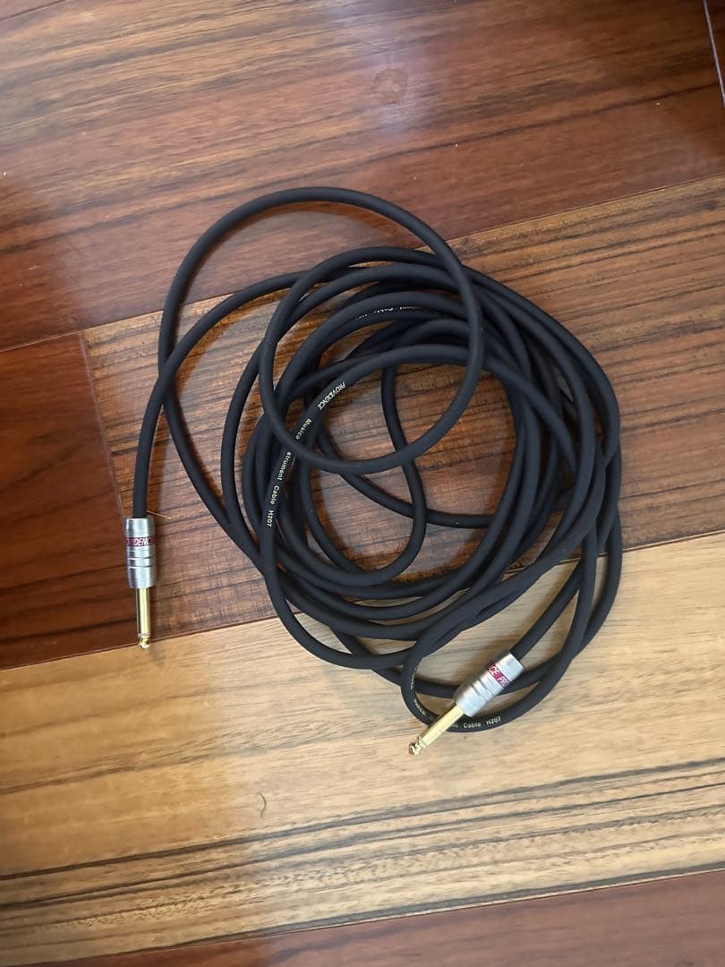 横山健 ギター ESP Edwards Kenny King Tシャツ ハイスタ