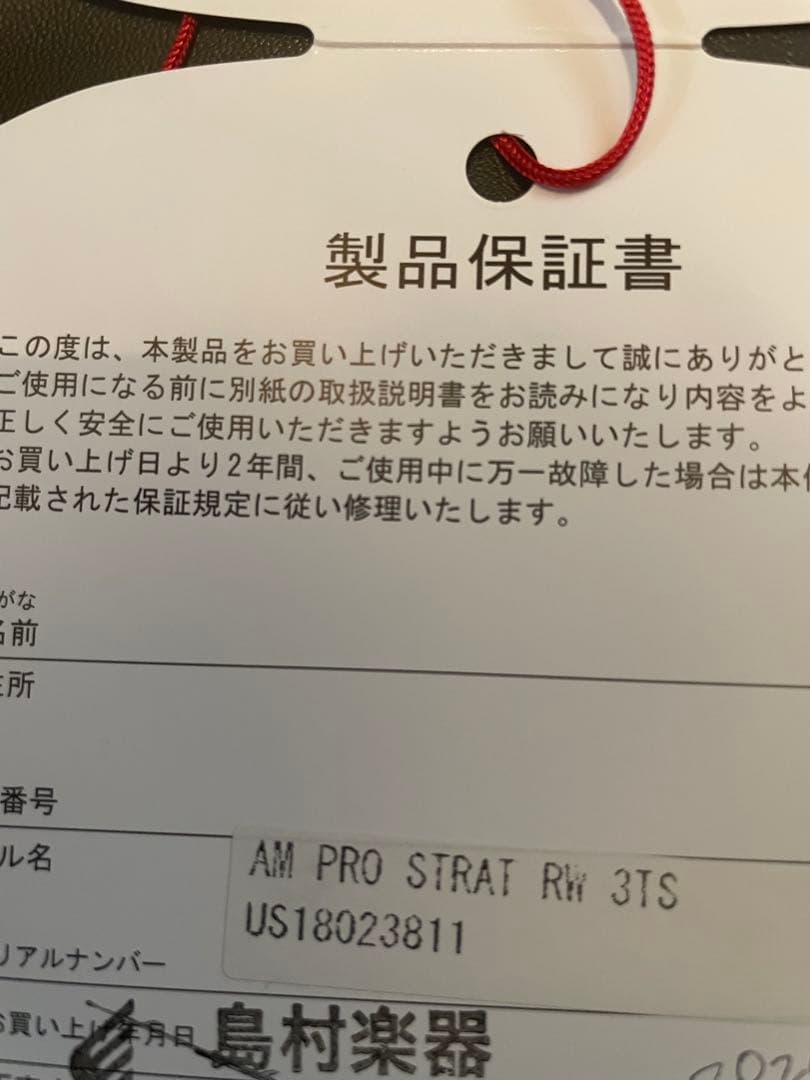 専用！fender americanprofessional ストラトキャスター