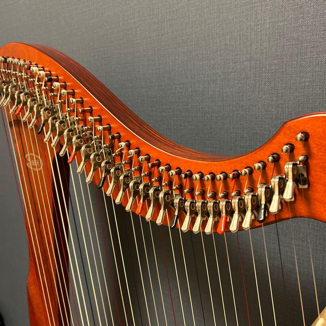 ♪Salvi レバーハープ34弦♪Mia(３年)総額44万相当ソフトケース付