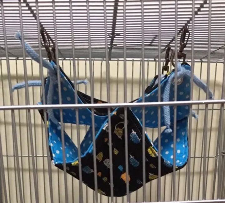 モモンガハウス(よつ葉のクローバーと黒猫) ボアベージュ 1800円