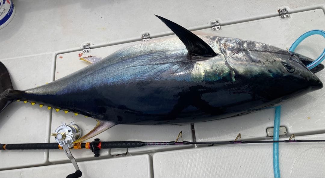 ルアーキラー ゲームロッド 新品未使用 マグロ クエにお勧め！！