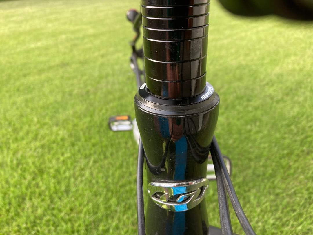 ルイガノ　確認用