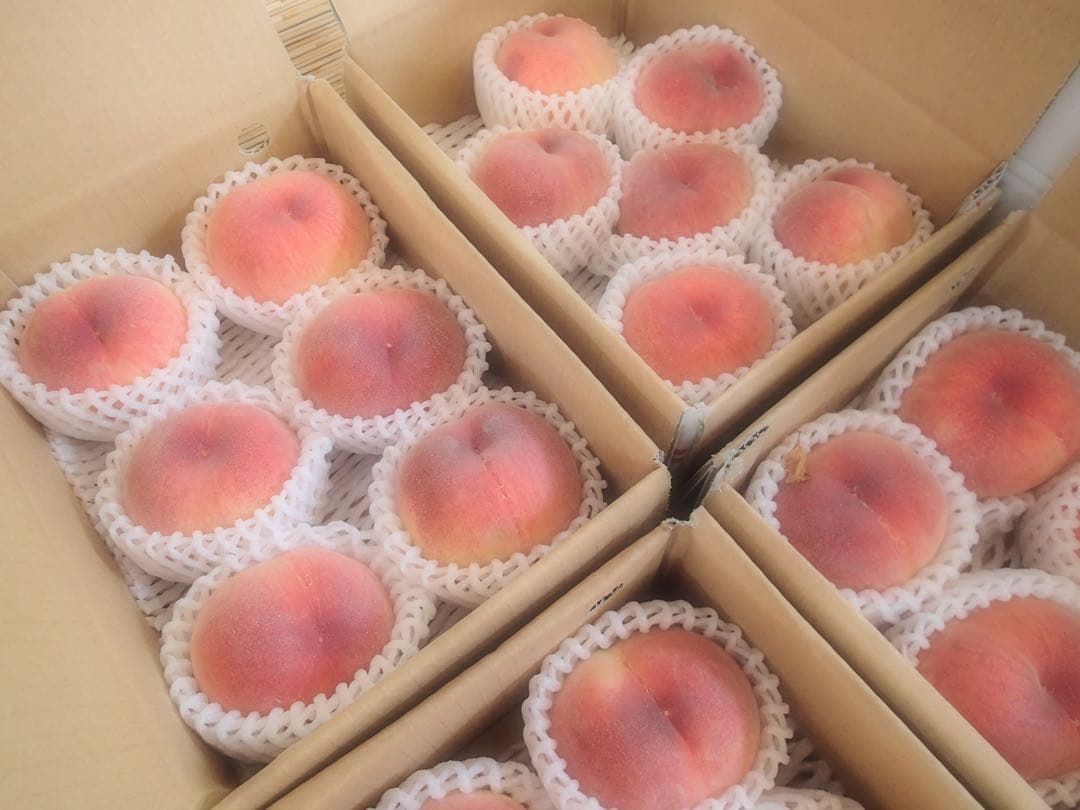 山梨最終のさくら白桃を5個詰めて2箱重ねて発送