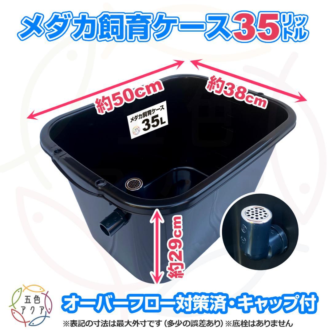 メダカ飼育ケース 35㍑黒x5個 オーバーフロー 金魚飼育容器 めだか飼育容器