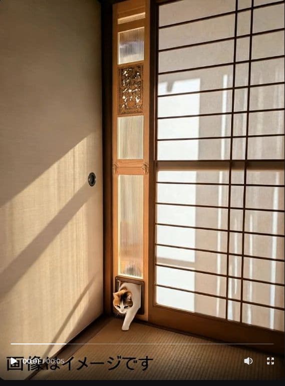 [行って帰る君]　ペットドア　子犬 猫用 新年キャンペーン中