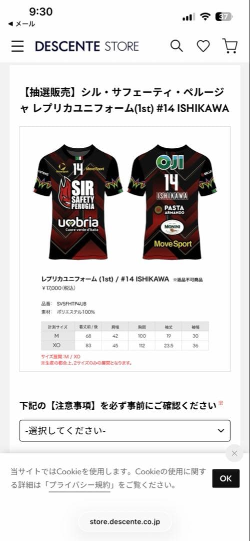 シルサフェーティー ペルージャレプリカユニフォーム#14 ISHIKAWA