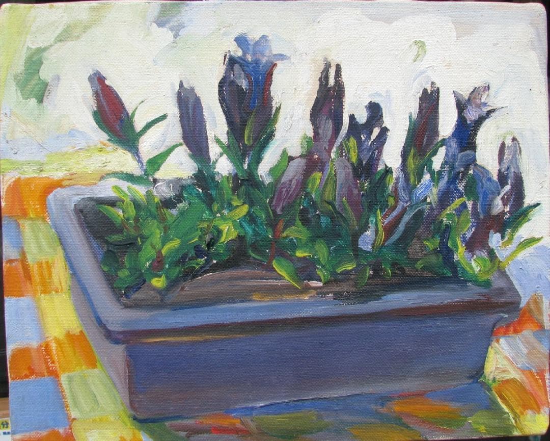 スペインの光と影,檜山健三「鉢の花」3号油彩,東京芸大小磯教室