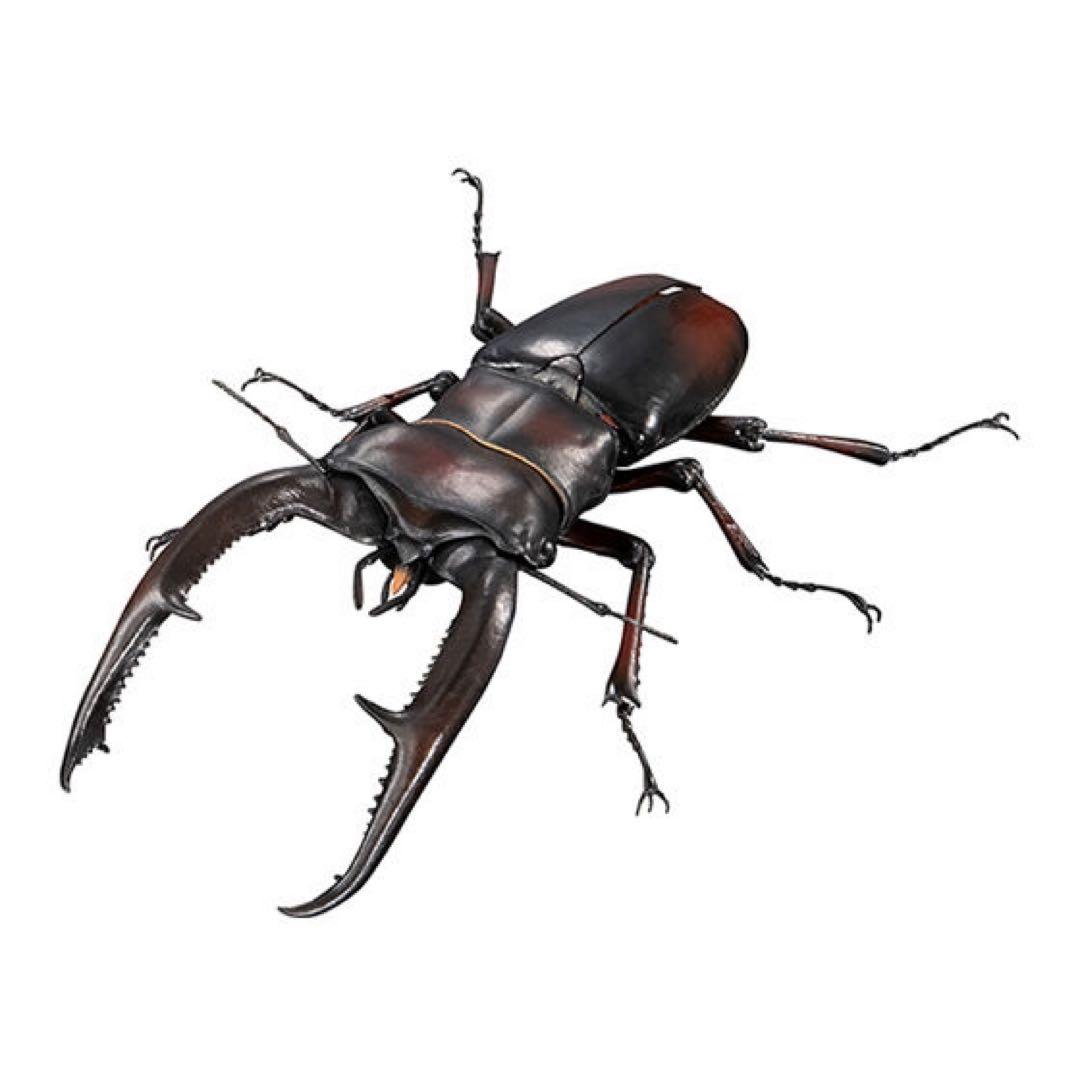 平田　ギラファノコギリクワガタ　カプセル版&オンライン版