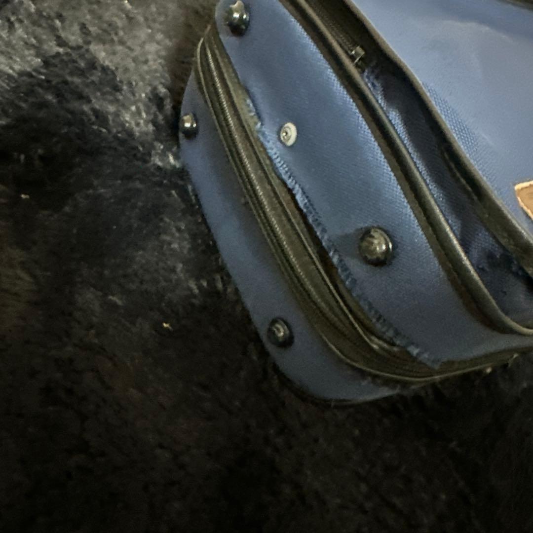 HORA Reghin Romania VIOLIN 4/4サイズ 弦楽器