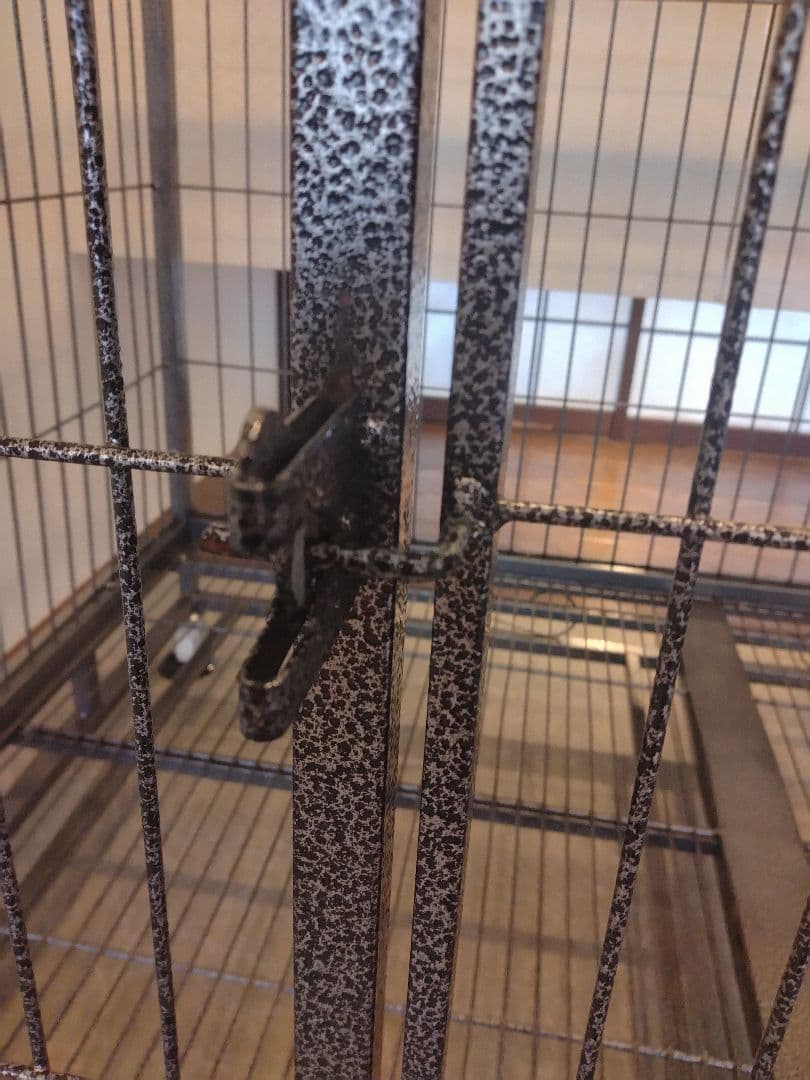 中型犬・大型犬用スチールケージ