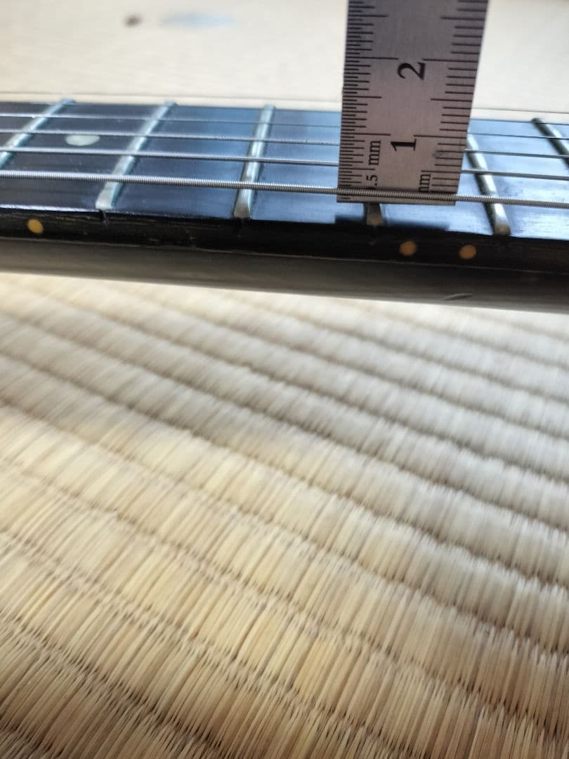 【期間限定値下】GibsonギブソンUSASGリミテッドエディションエボニー指板