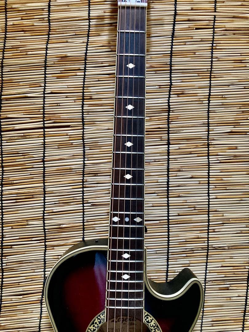 猫*様 ☆新年値下　アクティブコントローラを追加　エレアコ　Legend by