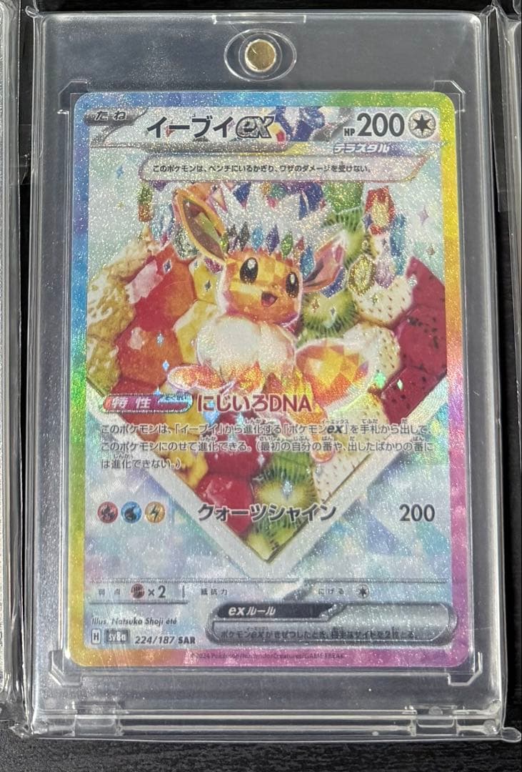 【センタリング◎／美品】ブイズSARコンプリートセット　おまけ付