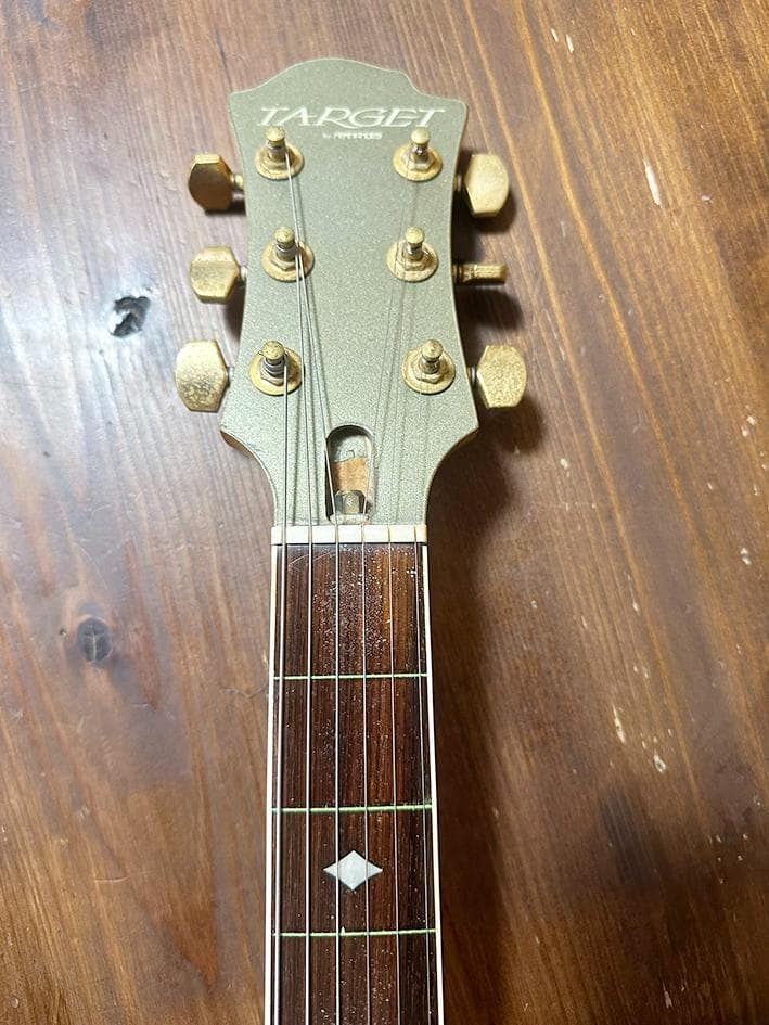 珍品！　フレットレス加工　TARGET MGT モッキンバード