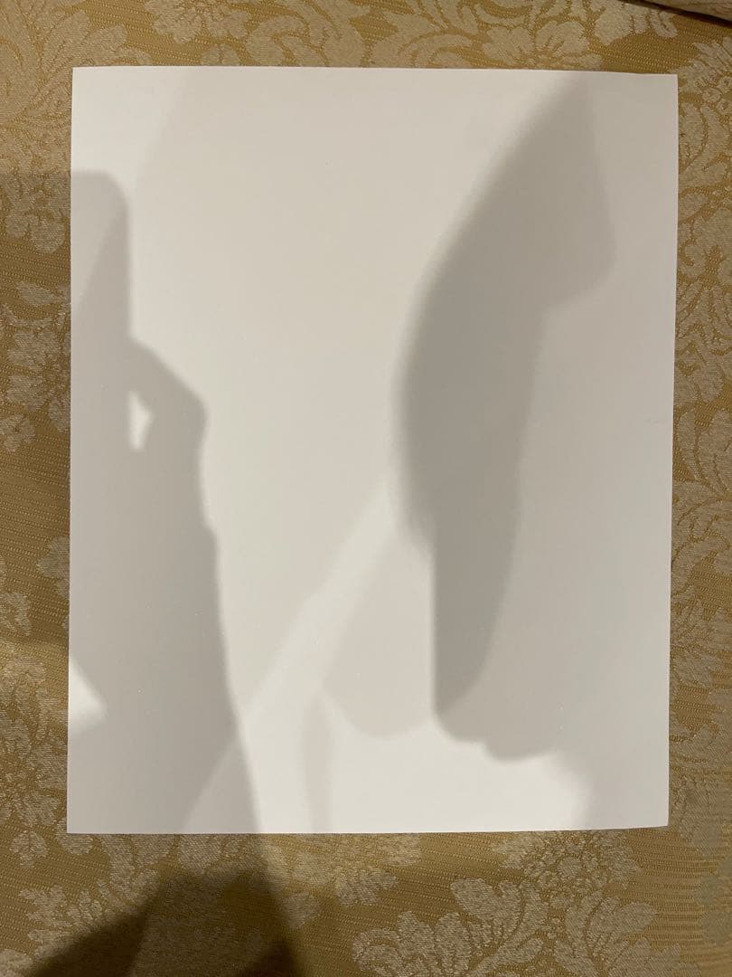 KOAK コアック 「The Axis」版画100部限定