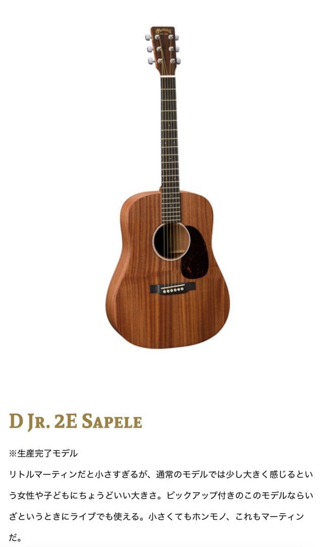 Martin D Jr. 2E Sapele アコースティックギター
