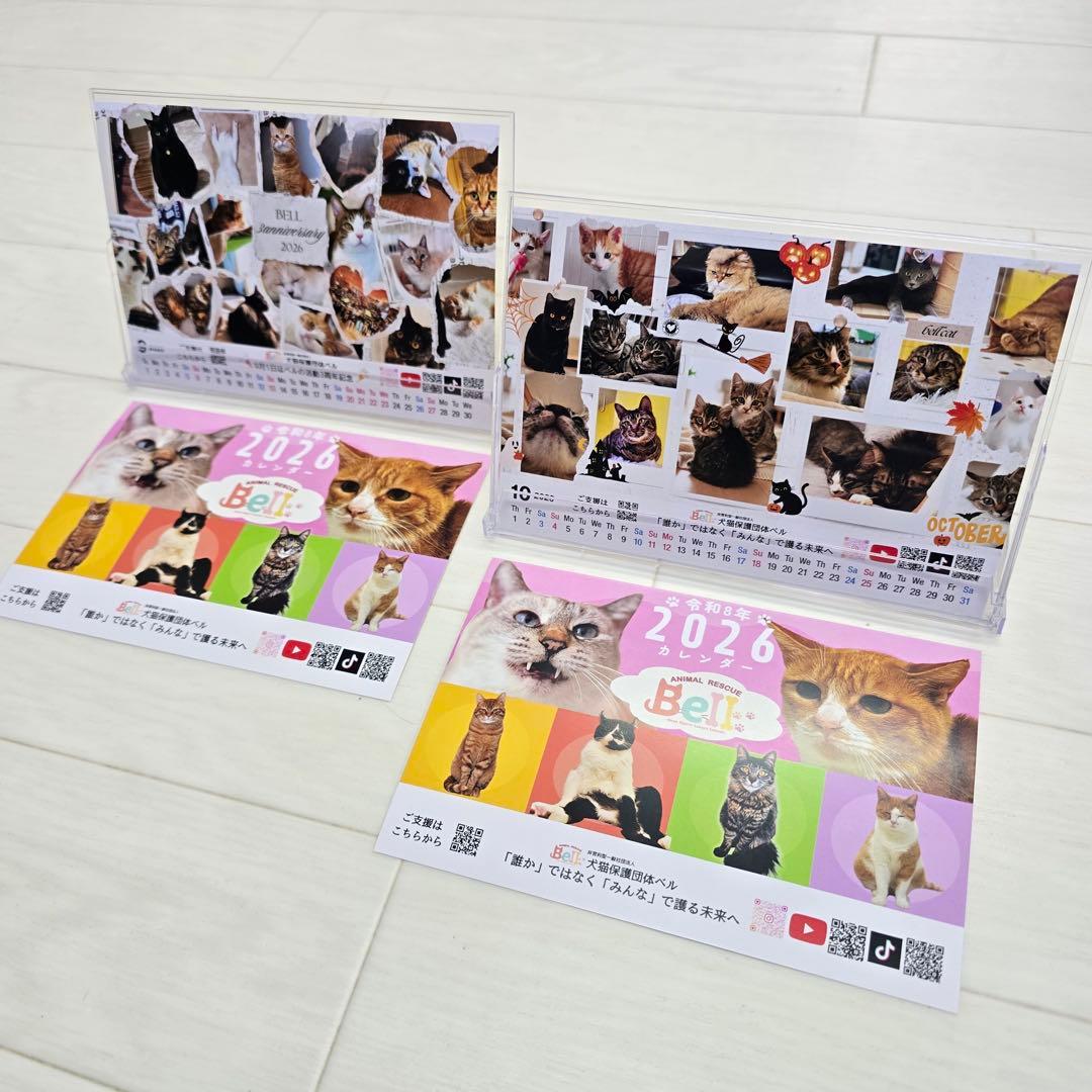 ③《猫》 卓上チャリティーカレンダー5枚セット