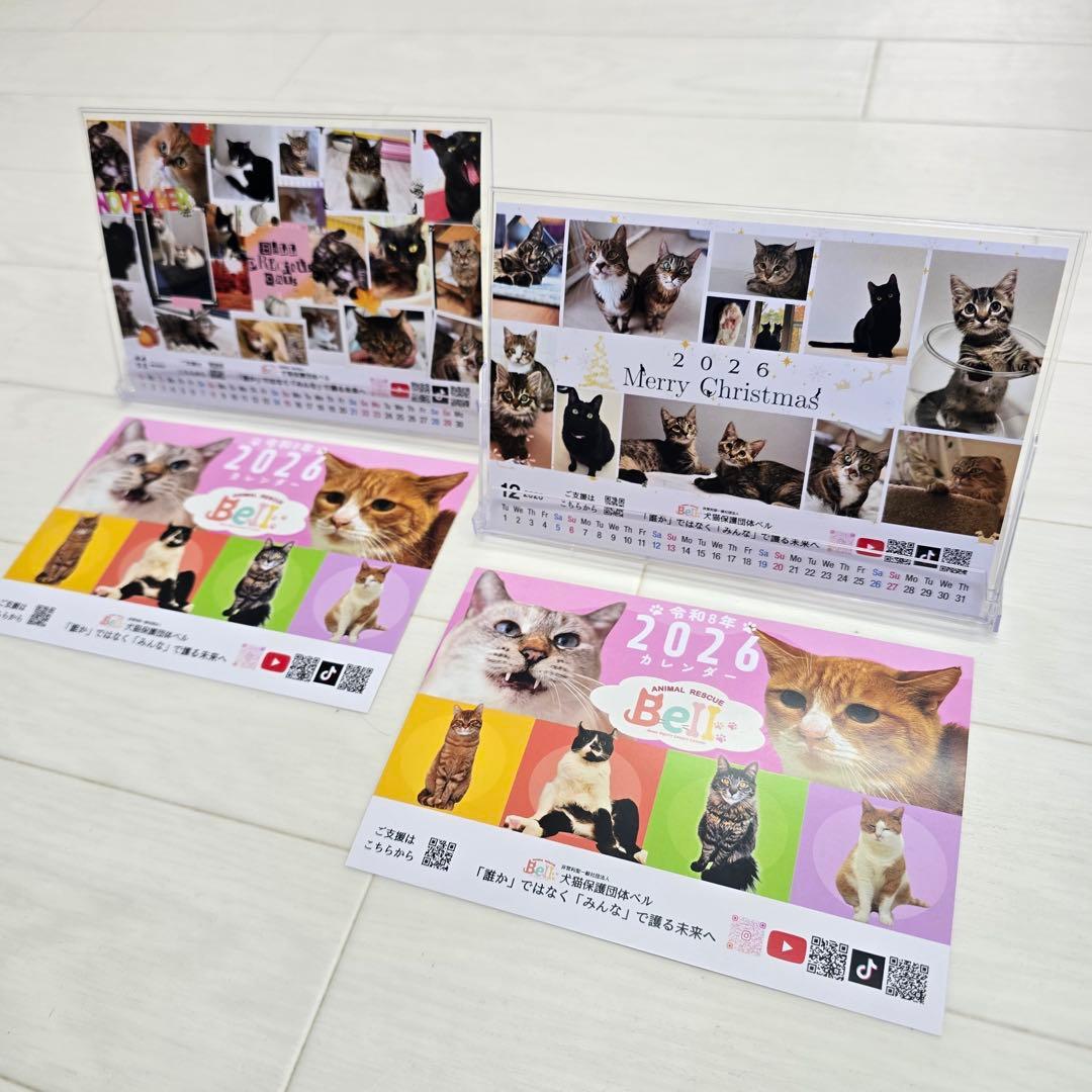 ③《猫》 卓上チャリティーカレンダー5枚セット