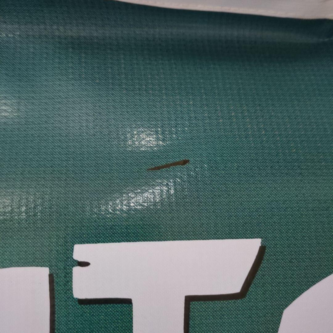 ディズニー ポカホンタス ポスター　タペストリー　壁掛け