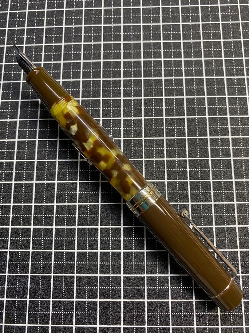 DELTA Vintage Collection Anima 万年筆　字幅F