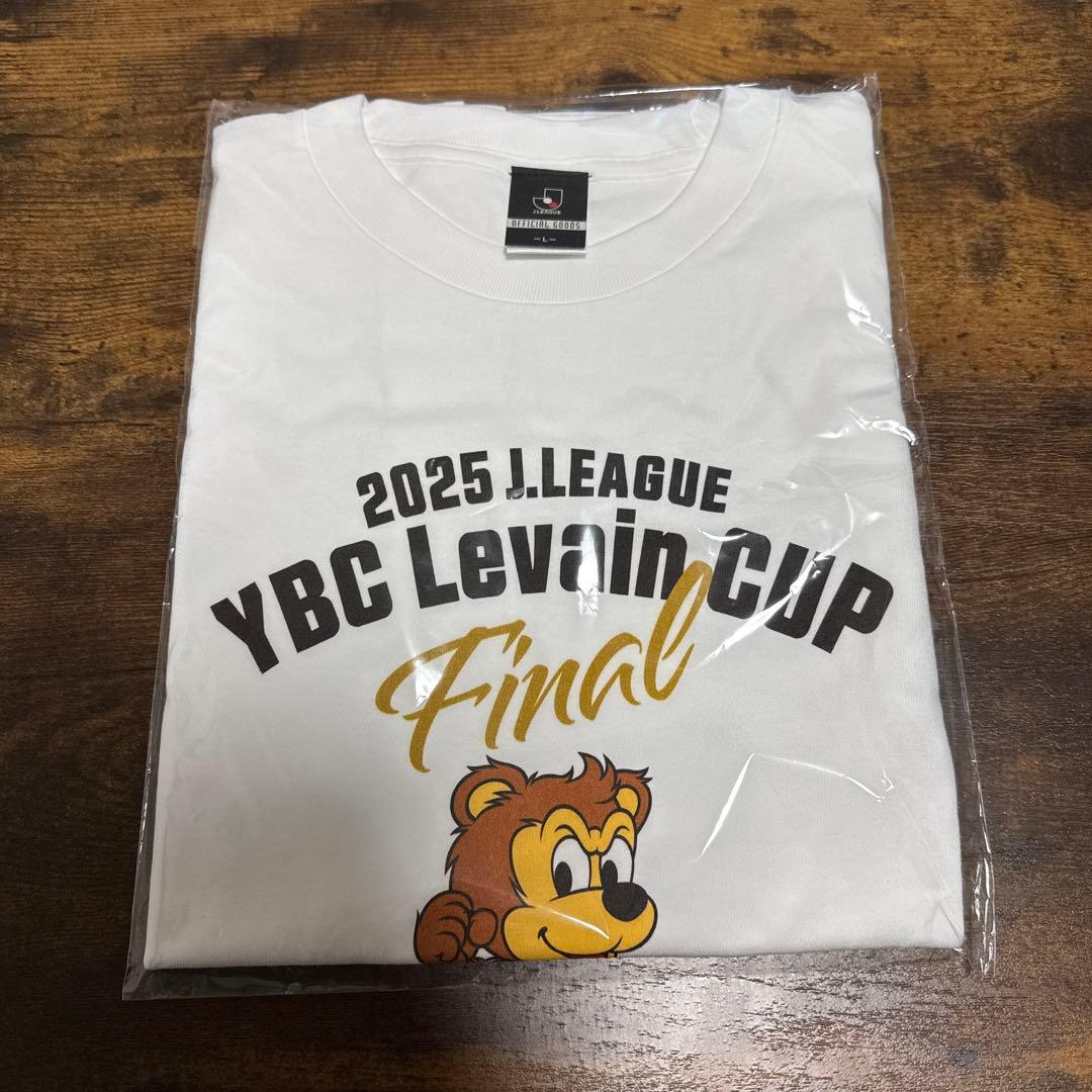 サンフレッチェ広島　ルヴァンカップ　ホスピタリティシート　限定グッズ　4点セット