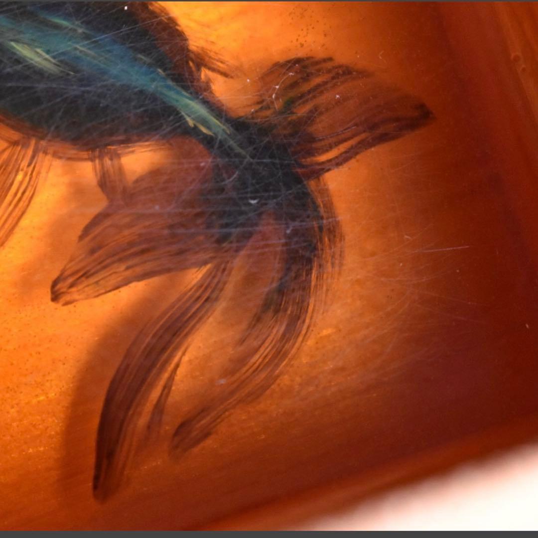 【真作　サイン入り】深堀隆介　金魚酒　2004年制作