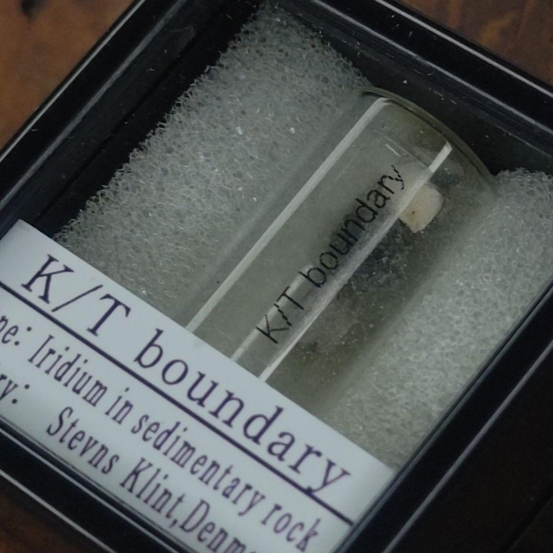 入手不可！小惑星のかけら Ｋ-Ｔ境界層（K/Pg境界頁岩）　標本