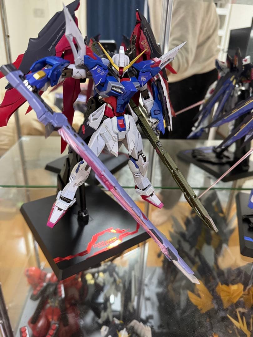 L BUILD メタルビルド ストライクフリーダム 光の翼 ディズニー