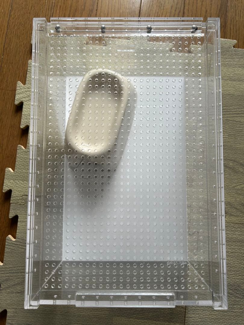 ごま【引き取り限定】爬虫類飼育セット（フトアゴ、レオパ）兵庫県神戸市