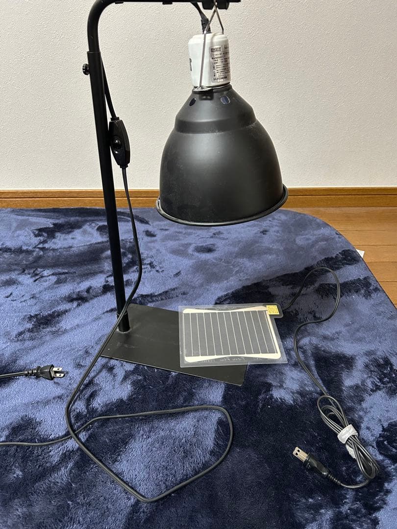 ごま【引き取り限定】爬虫類飼育セット（フトアゴ、レオパ）兵庫県神戸市