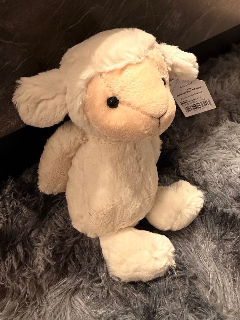 Medium Bashful Lamb ぬいぐるみ ジェリーキャット ひつじM