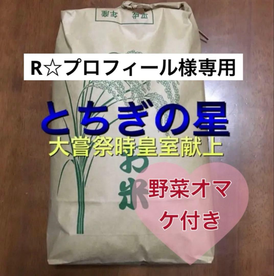 リピーター出品　令和6年産とちぎの星 10kg