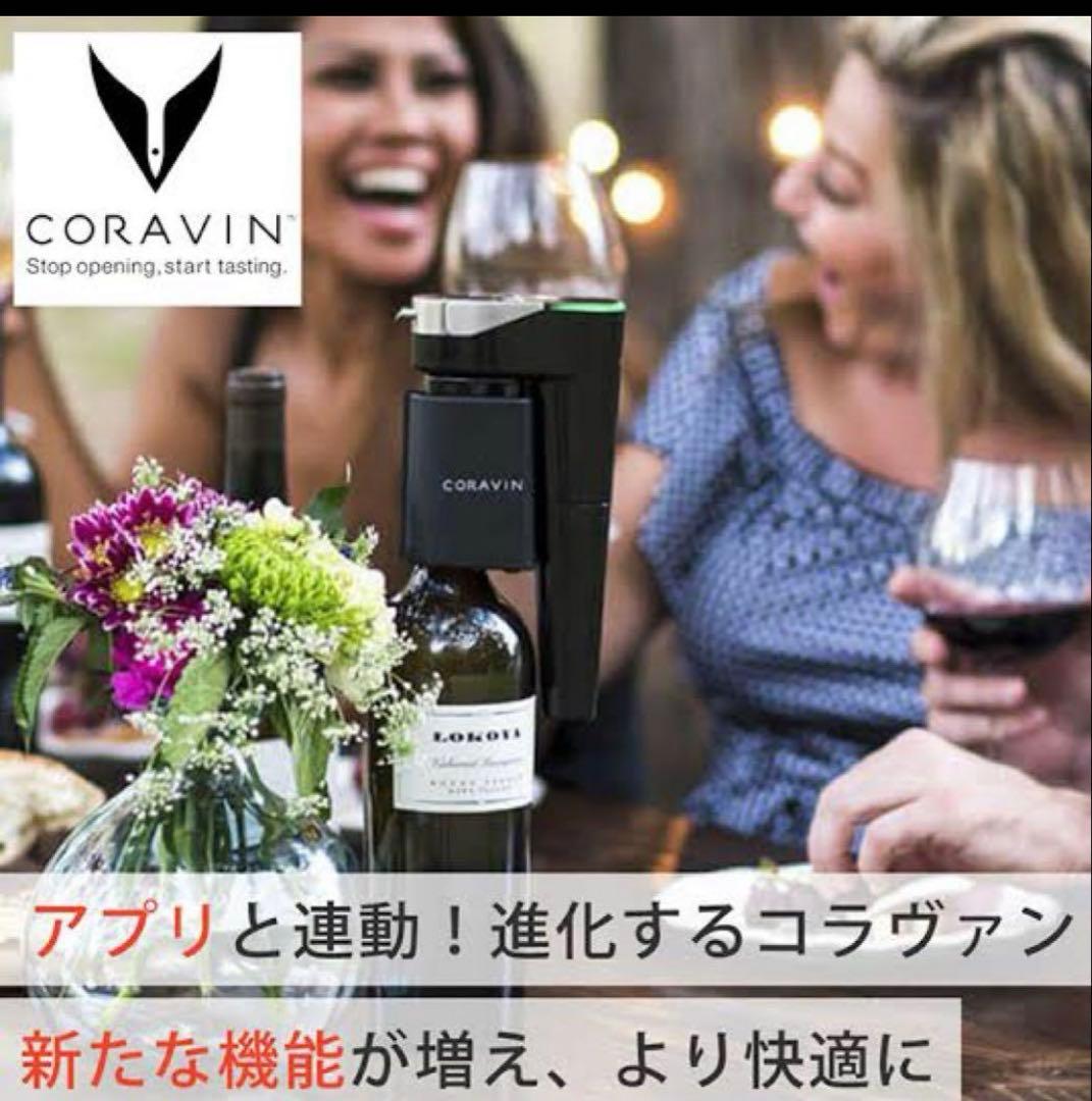 コラヴァン Timelessモデル11