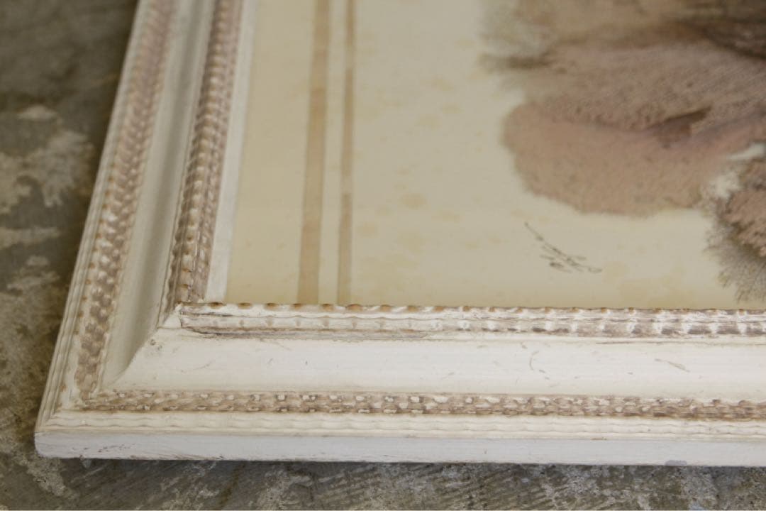 アンティーク標本　貝　珊瑚 海藻　アートフレーム　イタリアフィレンツェ