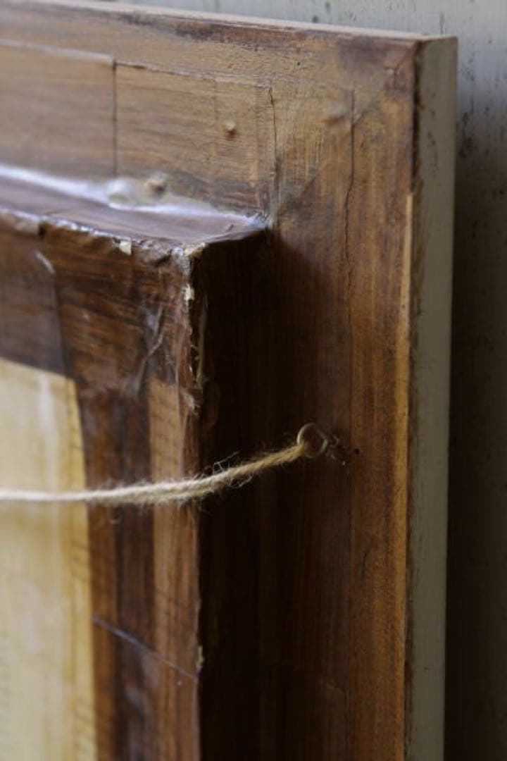 アンティーク標本　貝　珊瑚 海藻　アートフレーム　イタリアフィレンツェ