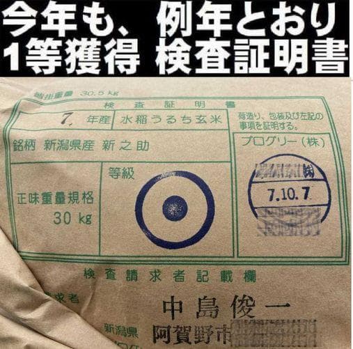 大粒な令和７年産 新潟 新之助 白米5kg × ４個 ★農家直送★色彩選別済