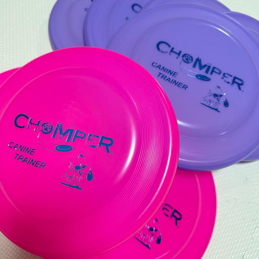 【新品・未使用】犬用 フリスビー ディスク ミスプリント 夏用 10枚セット