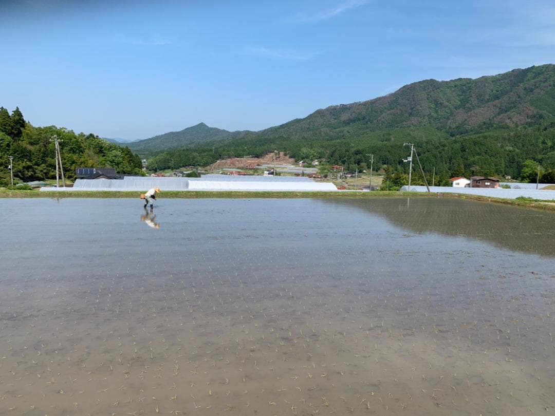 農家保有米 令和7年産 10キロ 玄米 コシヒカリ 10kg(5kg×2) 新米